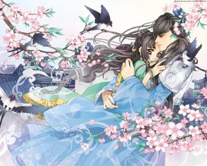 全身精油spa在线